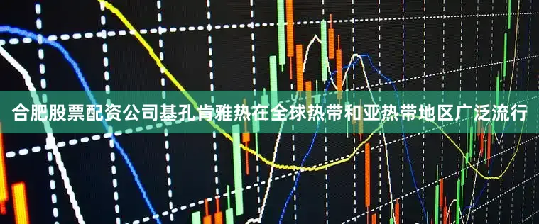 合肥股票配资公司基孔肯雅热在全球热带和亚热带地区广泛流行