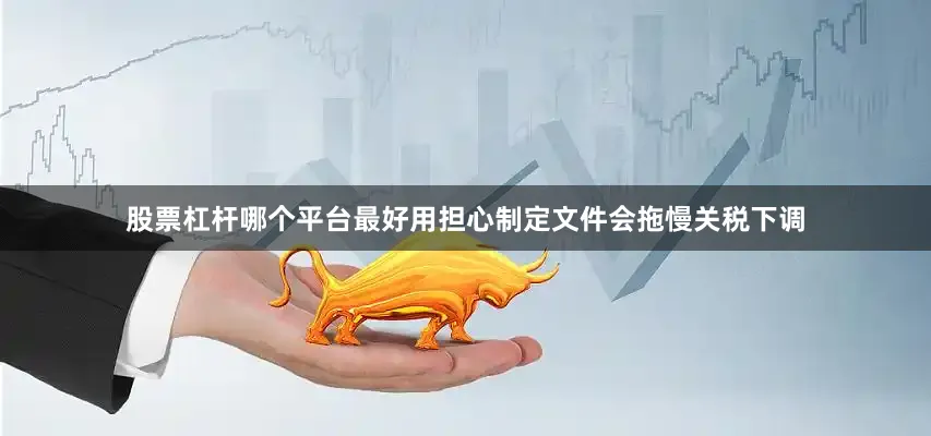股票杠杆哪个平台最好用担心制定文件会拖慢关税下调