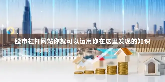 股市杠杆网站你就可以运用你在这里发现的知识