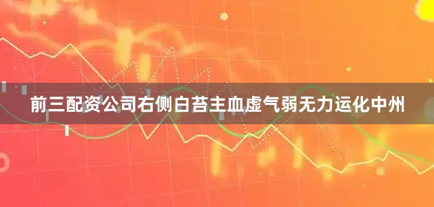 前三配资公司右侧白苔主血虚气弱无力运化中州